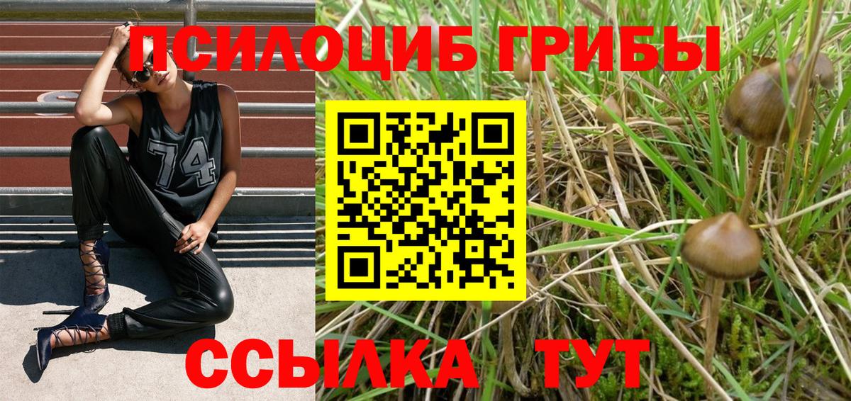 Псилоцибиновые грибы Magic Shrooms  Вход с VPN  Томск  Галлюциногенные грибы мицелий 